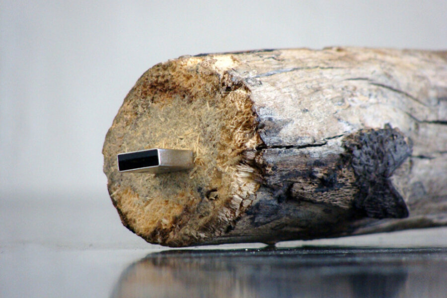 Vladimír Turner, 1GB Memorystick